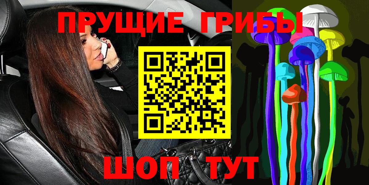 Псилоцибиновые грибы мицелий  где продают наркотики  Елец  Вход с VPN 