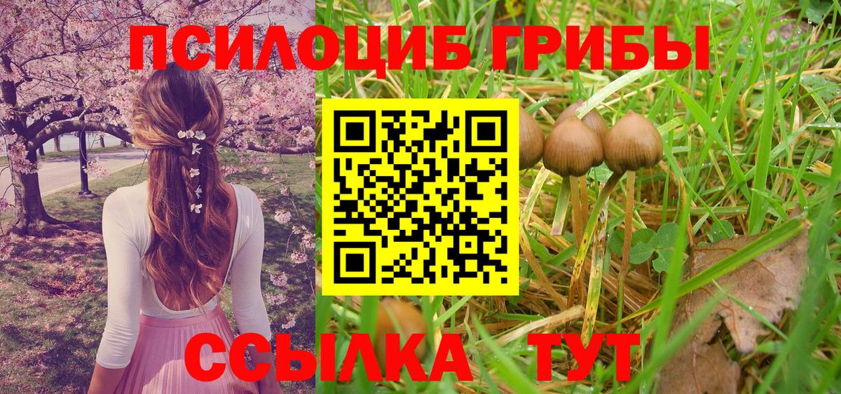 Галлюциногенные грибы ЛСД Елец